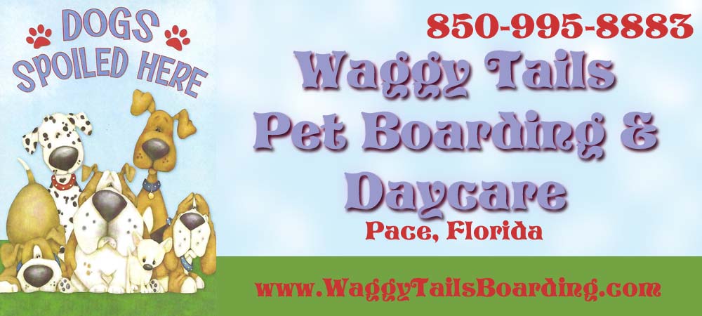 Waggy Tails Dog Boarding in Pace FL